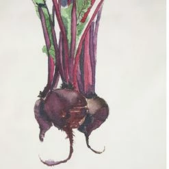 Côté Table POTAGER X5 Couleur Blanc -Côté Table Soldes Boutique 19730351 500 C