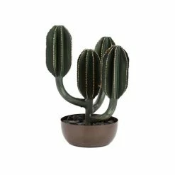 Côté Table EXOCHIC Couleur Vert